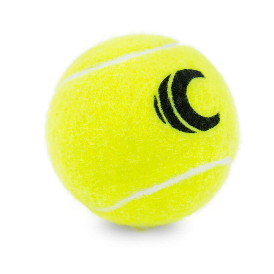 Extra Duty Tennis Balls Case of 24 Cans 72 Balls