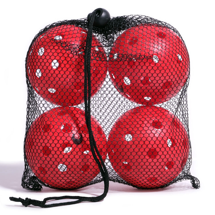 4-Pack Pickleballs with Carry Bag